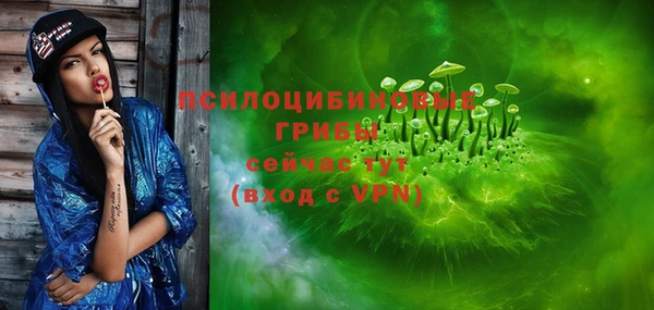 эйфоретик Богородицк