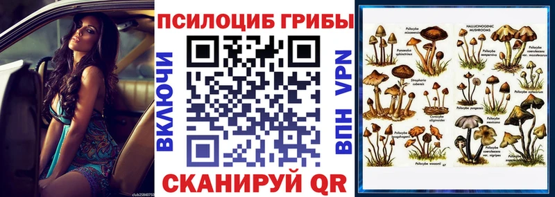 Псилоцибиновые грибы Psilocybine cubensis  hydra tor  Полесск 